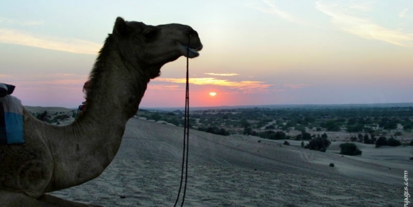 rajathan_desert