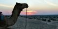 rajathan_desert