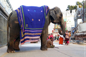 tirupati